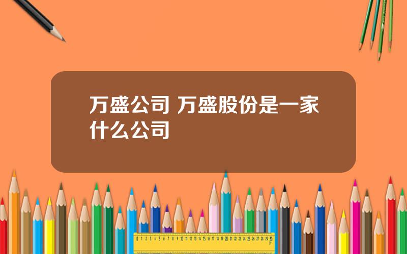 万盛公司 万盛股份是一家什么公司
